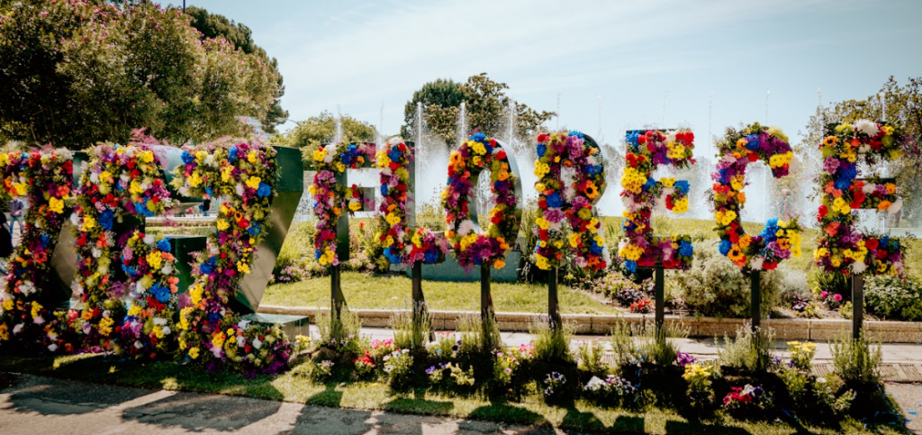 Guía de Zaragoza Florece 